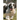 Romanian Bucovina Shepherd Training Guide: Breed Guide, Personality, History, Grooming, Facts, and Information: Romanian Bucovina Shepherd Encyclopedi