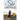 She Who the Son Sets Free