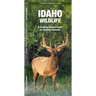 Idaho Wildlife: A Folding Pocket Guide to Familiar Animals