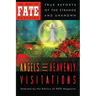 Angels and Heavenly Visitations