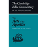 The Acts of the Apostles