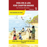 Five Chapter Books 5: Decodable Series for Students Learning to Read. For Beginning Readers and Students with Dyslexia. (Step 5-Magic/Silent e)