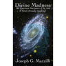 Divine Madness: The Quantum Mechanics of the Soul, A Novel (Broadly Speaking)