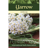 Yarrow: Herb of the Year(TM) 2024