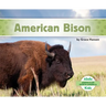 American Bison