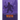The Secret Life of the Yeti