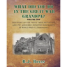 What Did You Do In The Great War Grandpa - Volume 2