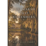 The Marsh That Remembers