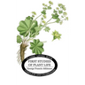 First Studies of Plant Life