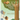 Lily's Walnut Tree Search