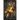 Crown of Smoke and Starlight
