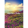 Collection of Poetry