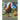 How to Raise Chickens For Eggs and Meat