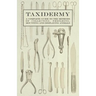 Taxidermy - A Complete Guide to the Methods of Collecting, Preparing, Mounting and Displaying Animals