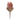 Orange Protea Flower Stem (Set of 2)