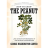How to Grow the Peanut: And 105 Ways of Preparing It for Human Consumption