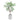Potted Olive Leaf Topiary 17.5"H