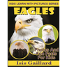 Eagles: Photos and Fun Facts for Kids