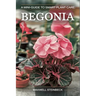 A mini-guide to smart plant care: Begonia