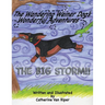 The Wandering Weiner Dog's Wonderful Adventures: The Big Storm!!