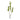 Leaf Foliage Branch (Set of 6)