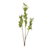 Leaf Foliage Branch (Set of 6)