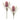 Protea Floral Stem (Set of 2)