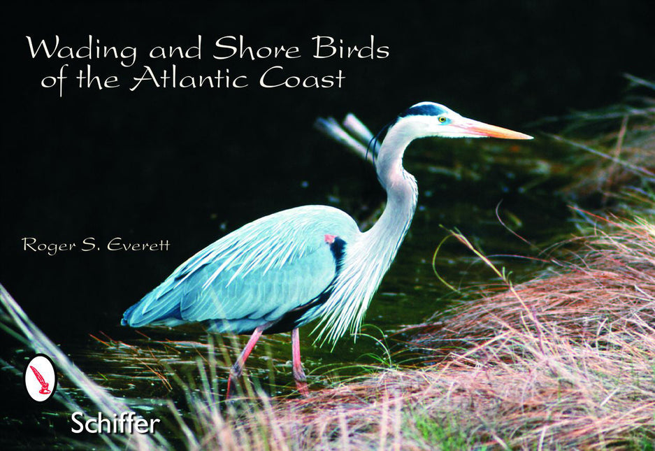 Wading & Shore Birds of the Atlantic Coast by Schiffer Publishing