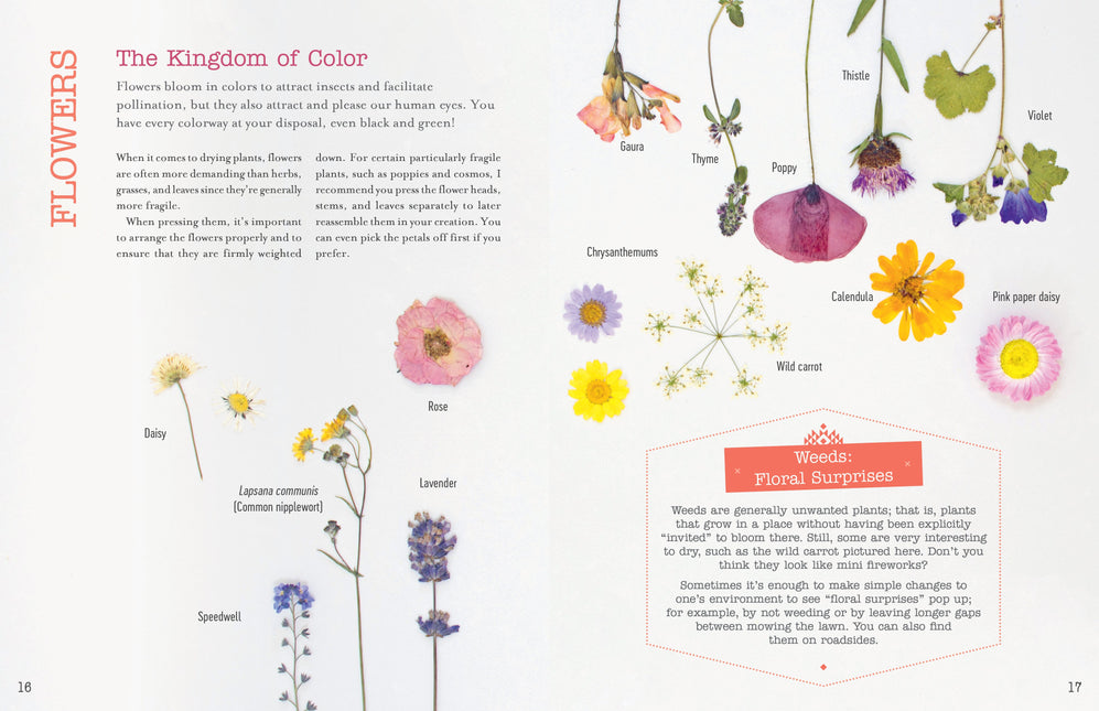 The Little Book of Flower Pressing by Schiffer Publishing