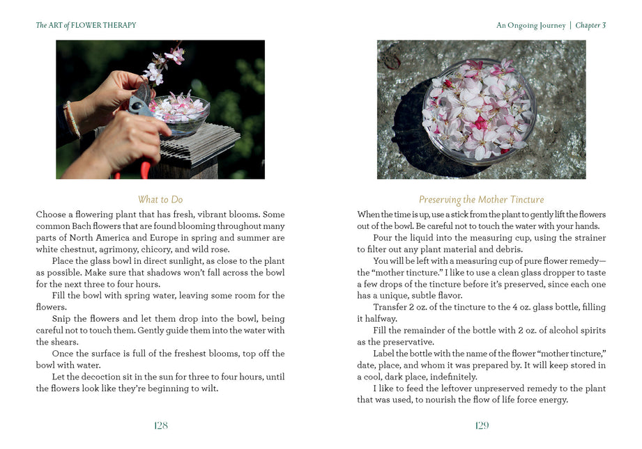 The Art of Flower Therapy by Schiffer Publishing