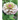 Mostly Zinnias: Flower Photos Pre and Post Hurricane Ida