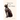 Fifteen Lives and a Cat's Story