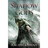 In the Shadow of the Gods: A Bound Gods Novel