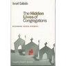 Hidden Lives of Congregations: Discerning Church Dynamics