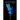 Hyacinthus