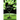 The Limerick Book, Volume One