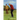 Death of a Low-Handicap Man