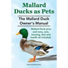 Mallard Ducks as Pets. The Mallard Duck Owner's Manual. Mallard Duck pros and cons, care, housing, diet and health all included.