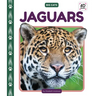 Jaguars