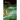 Rain in the Dark