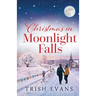 Christmas in Moonlight Falls