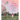 If I Could Choose a Best Day: Poems of Possibility