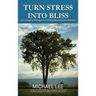Turn Stress Into Bliss: Life-changing strategies for finding meaning and fulfillment