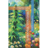 Wellness Wonders: The Transformative Power of THC, CBD, CBG, and CBH