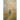 The Way He Walked