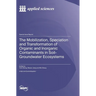 The Mobilization, Speciation and Transformation of Organic and Inorganic Contaminants in Soil-Groundwater Ecosystems