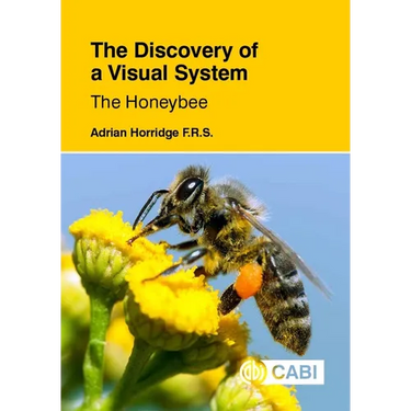 The Discovery of a Visual System: The Honeybee