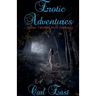 Erotic Adventures