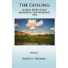 The Gosling: Marias River Float Memorial Day Weekend 1993