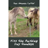 Kiss the Rushing Day Goodbye